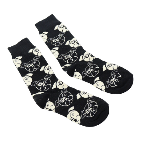 Kolorowe skarpetki za kostkę - zwierzęta