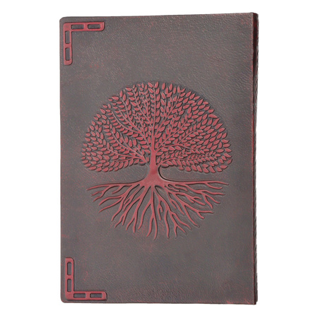 Notes Magia i Kosmos