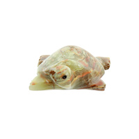 Żółw 
