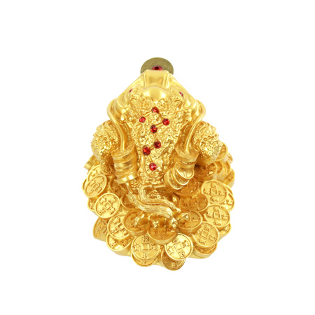 Duża żabka na szczęście z monetą